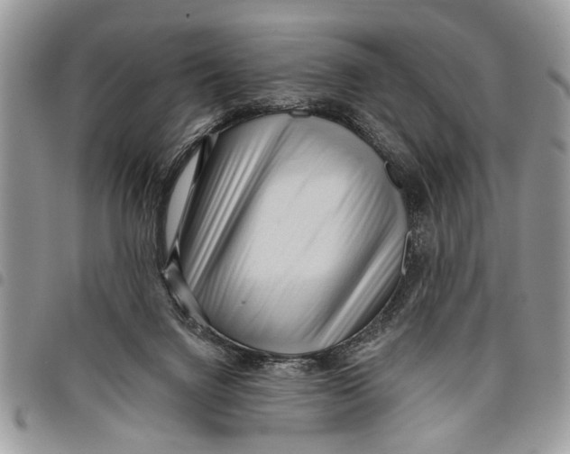 X0000097770072200803281649