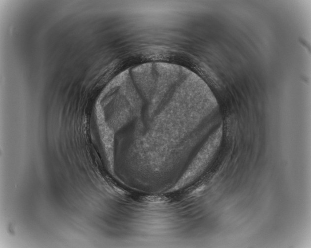 X0000097770073200803281649