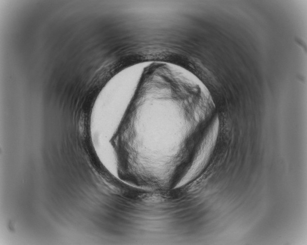 X0000097770074200803281649