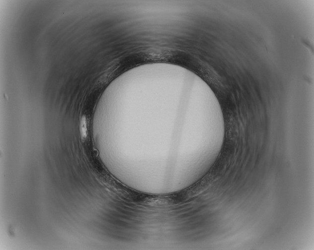 X0000097770075200803281649