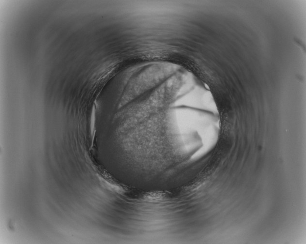 X0000097770076200803281649