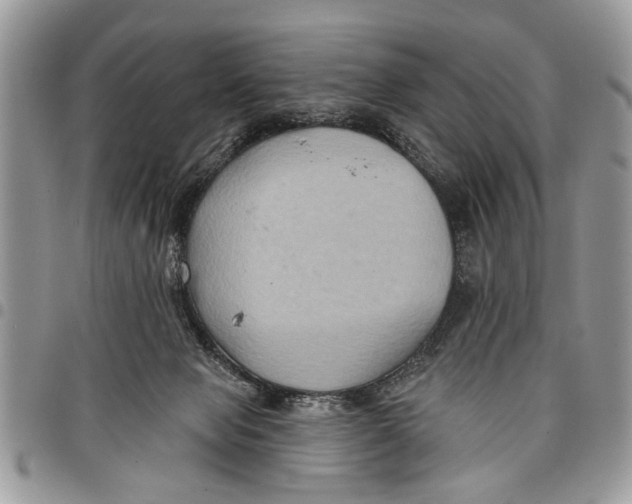 X0000097770077200803281649