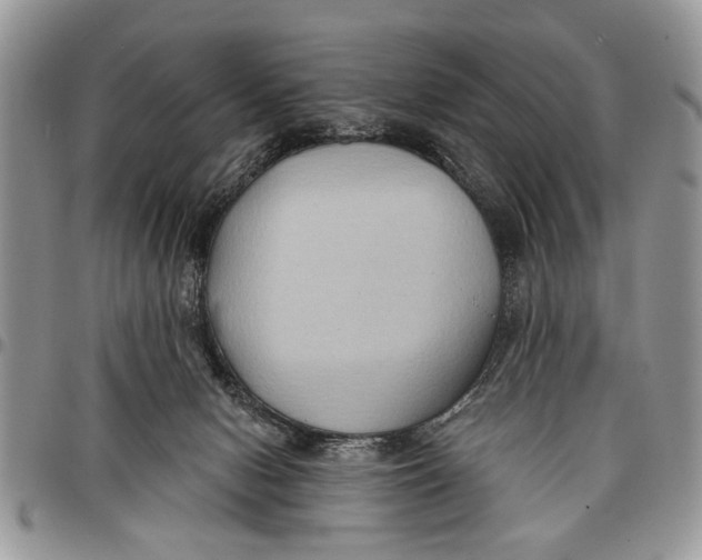 X0000097770078200803281649