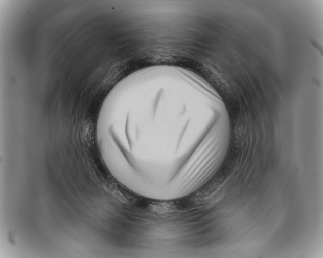 X0000097770079200803281649