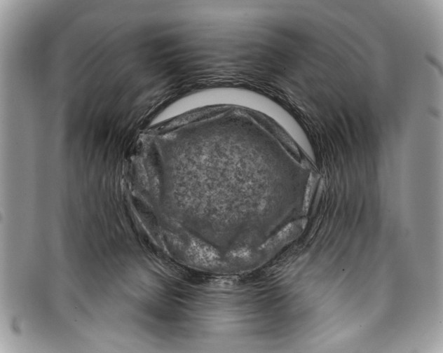 X0000097770080200803281649