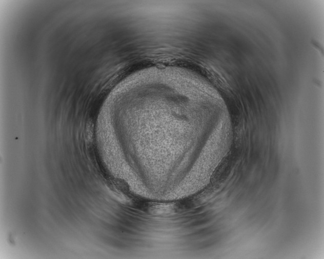 X0000097770081200803281649