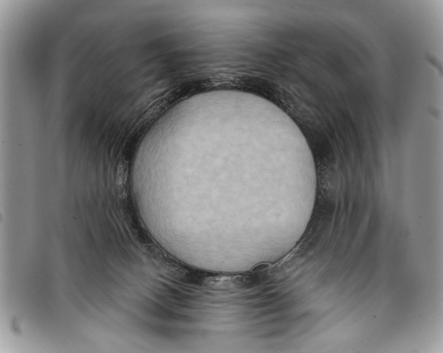 X0000097770082200803281649