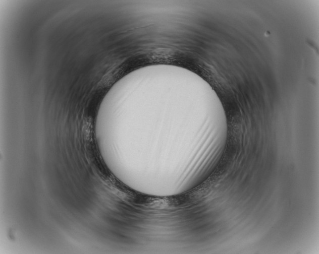 X0000097770083200803281649