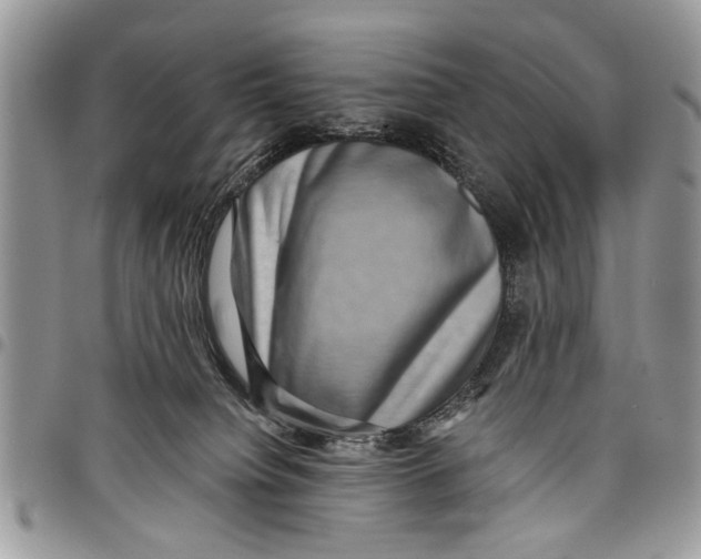 X0000097770084200803281649