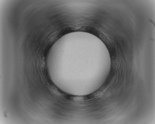 X0000097770085200803281649