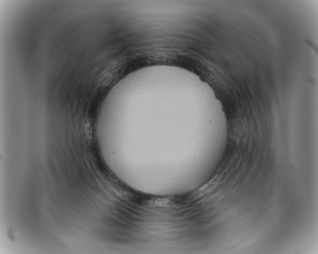 X0000097770086200803281649