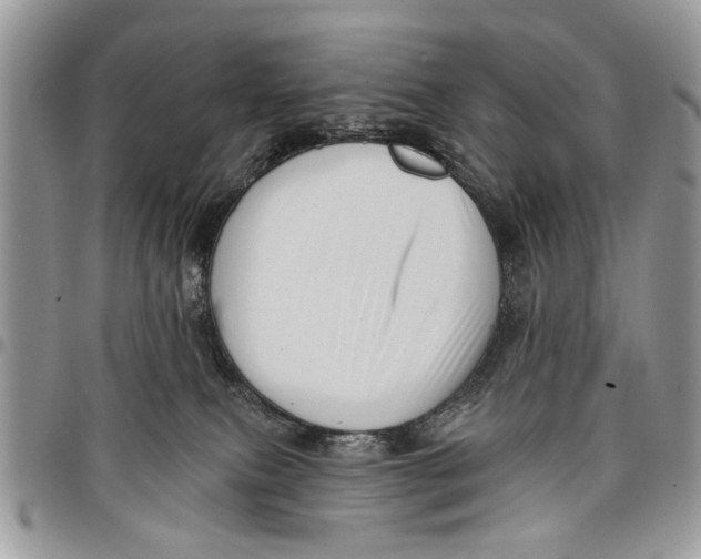 X0000097770087200803281649