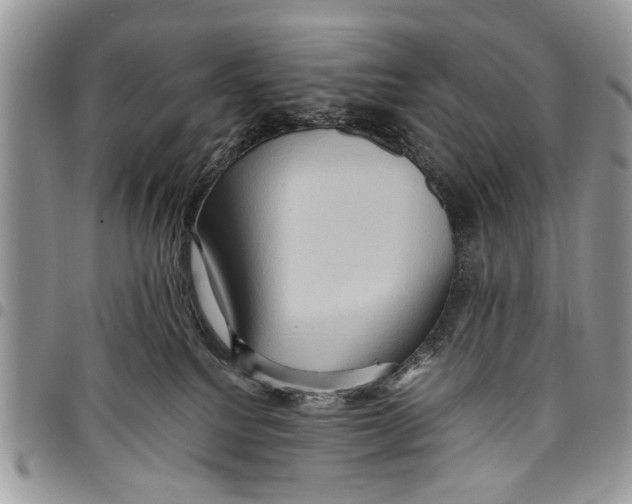 X0000097770088200803281649