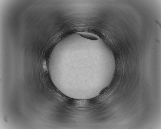 X0000097770089200803281649