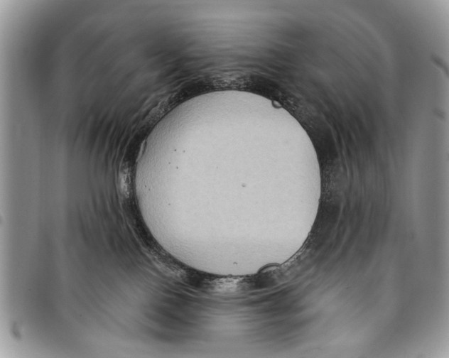 X0000097770090200803281649