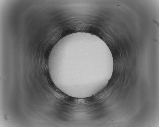 X0000097770091200803281649