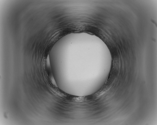 X0000097770092200803281649