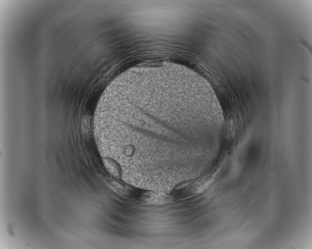 X0000097770093200803281649