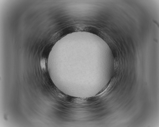 X0000097770094200803281649