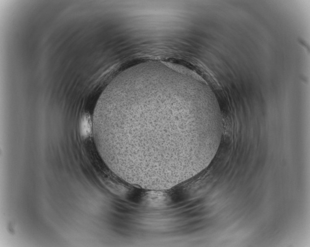 X0000097770095200803281649