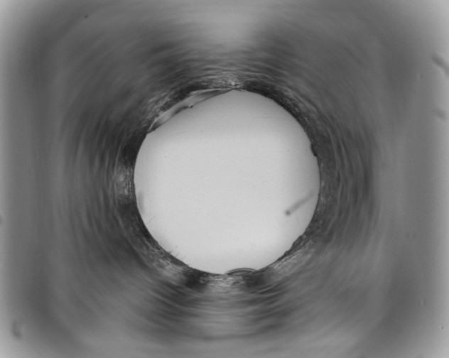 X0000097770096200803281649