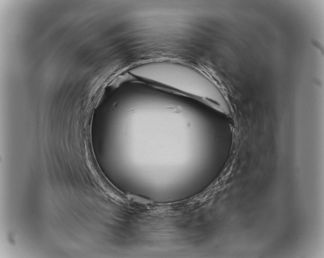 X0000097770097200803281648