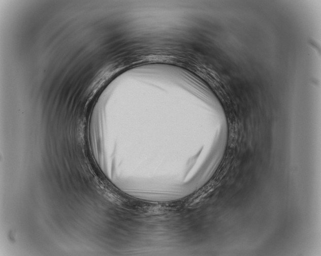 X0000097770098200803281648