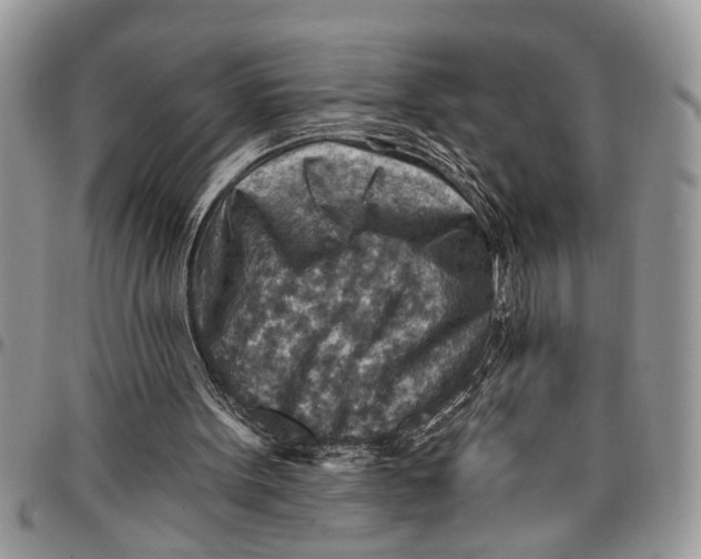 X0000097770099200803281648