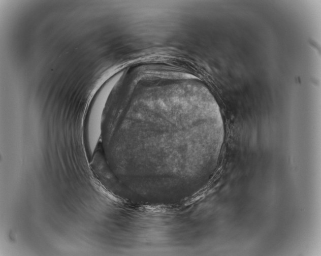 X0000097770100200803281648