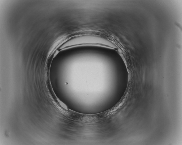 X0000097770101200803281648