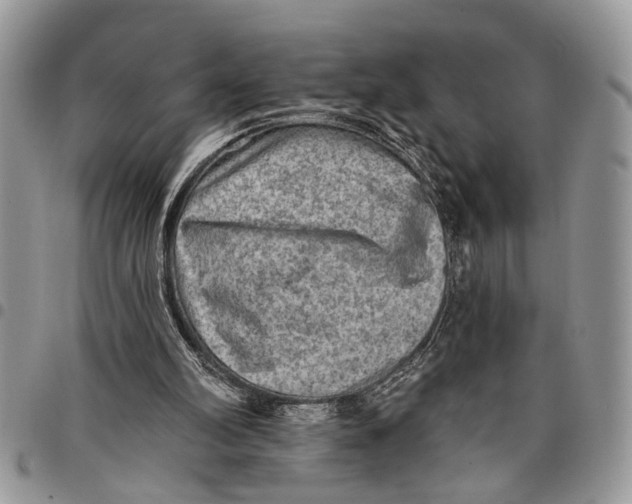 X0000097770102200803281648