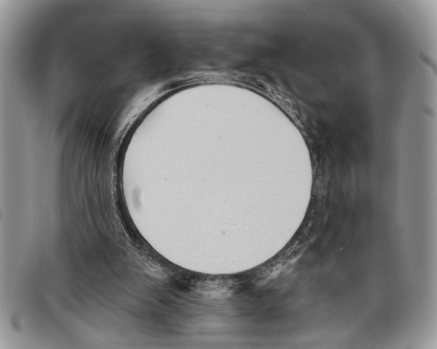 X0000097770103200803281648