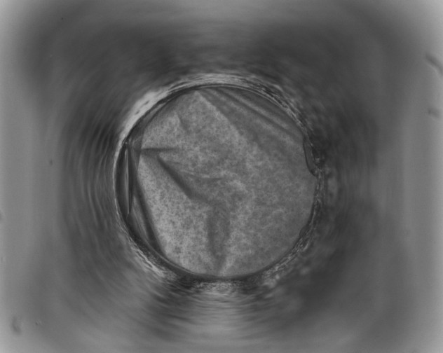 X0000097770104200803281648