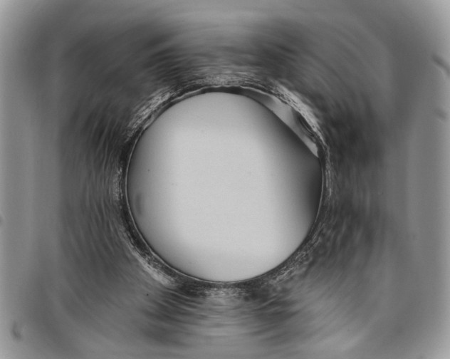 X0000097770105200803281648