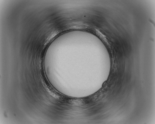 X0000097770106200803281648