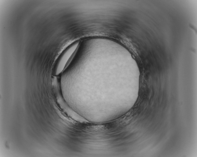 X0000097770108200803281648