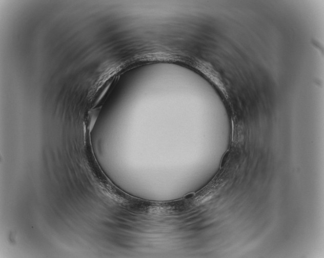 X0000097770109200803281648