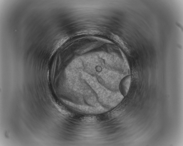 X0000097770110200803281648