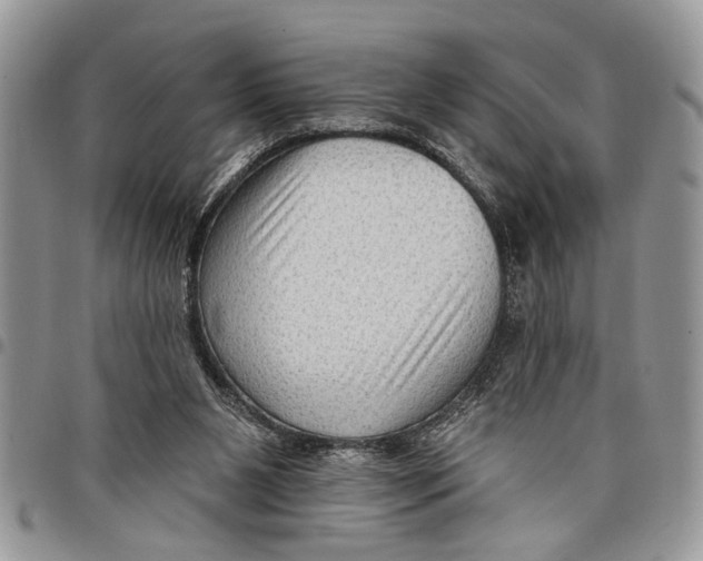 X0000097770111200803281648