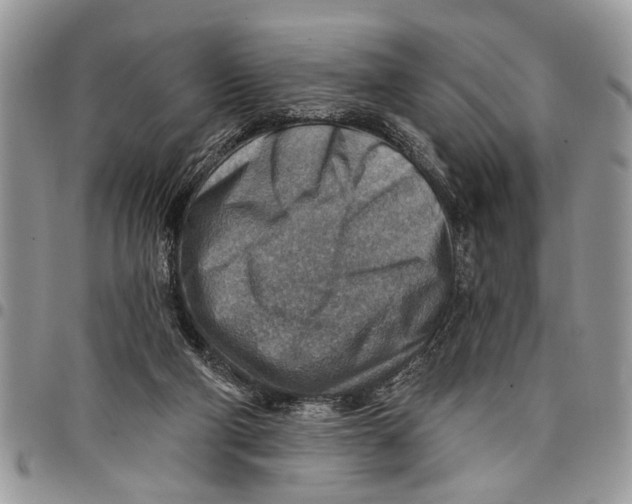 X0000097770114200803281648