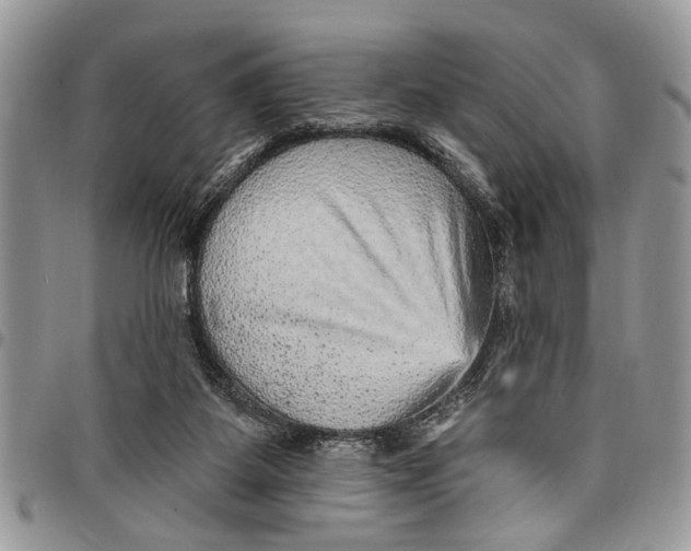 X0000097770115200803281648