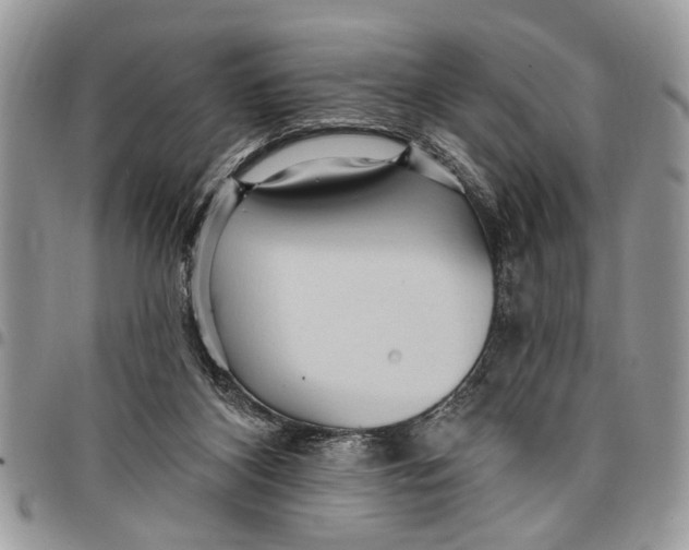 X0000097770116200803281648