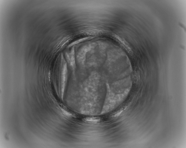 X0000097770117200803281648