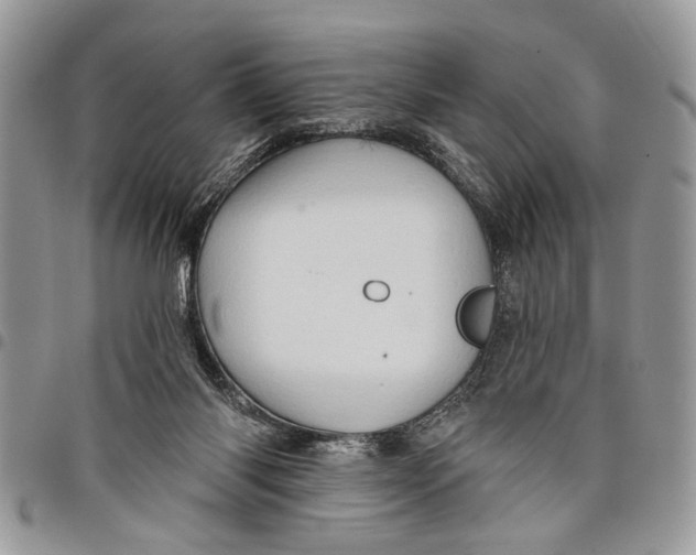 X0000097770118200803281648