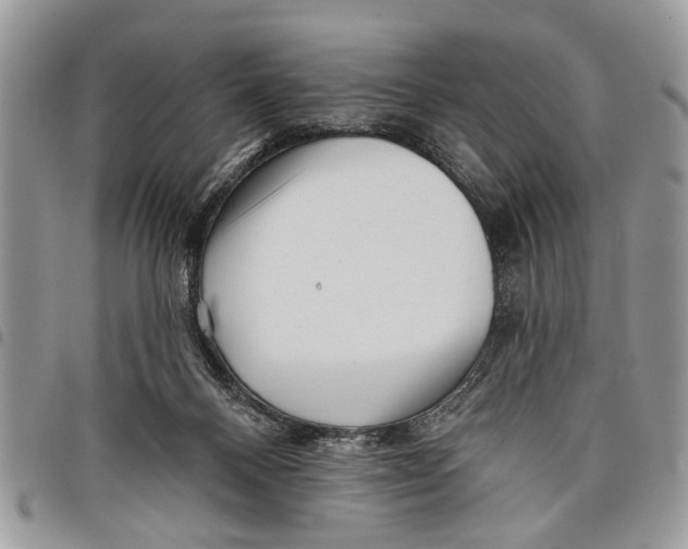 X0000097770120200803281648