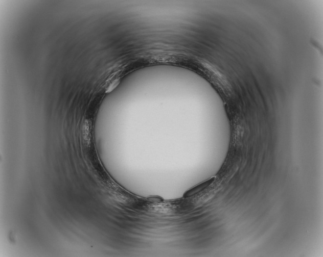 X0000097770121200803281648