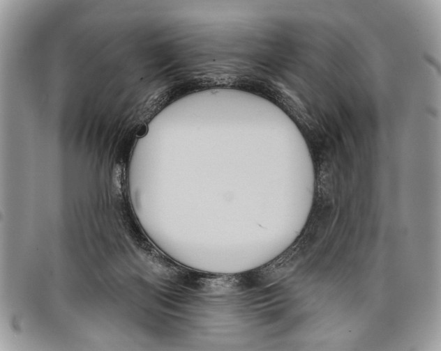 X0000097770122200803281648