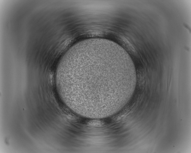 X0000097770123200803281648