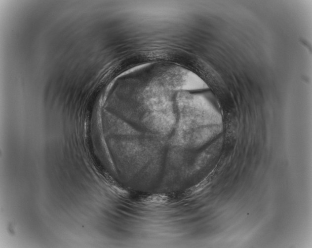 X0000097770124200803281648