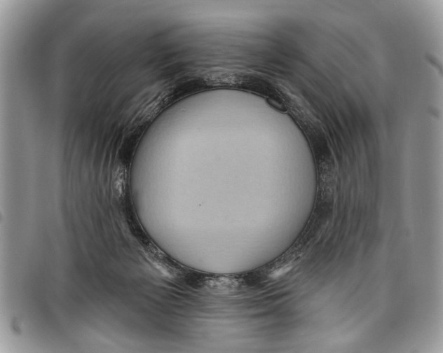 X0000097770125200803281648